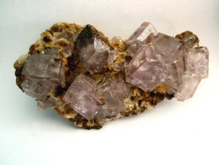 Fluorite Allenheads 2a.jpg