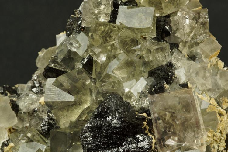 Fluorite Diana 3.jpg