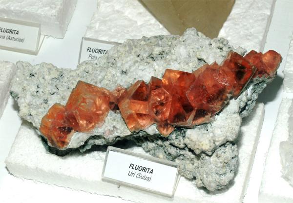 Fluorite Folch Uri Switzerland.jpg