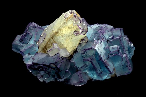 Fluorite in Chalcopiryte 2 Veneros South mine La Collada.jpg