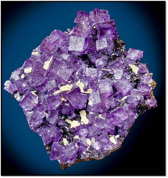 Fluorite plate 6 19.jpg