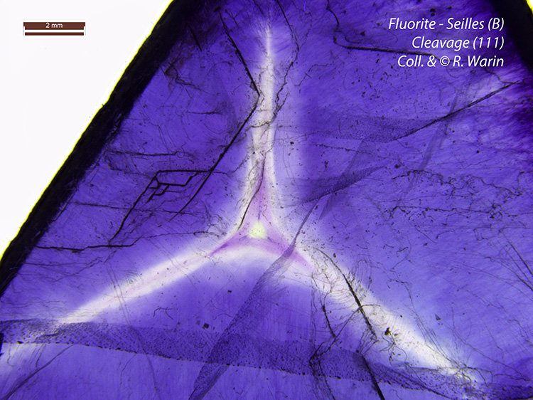 Fluorite-Seilles-Star#1_R.jpg