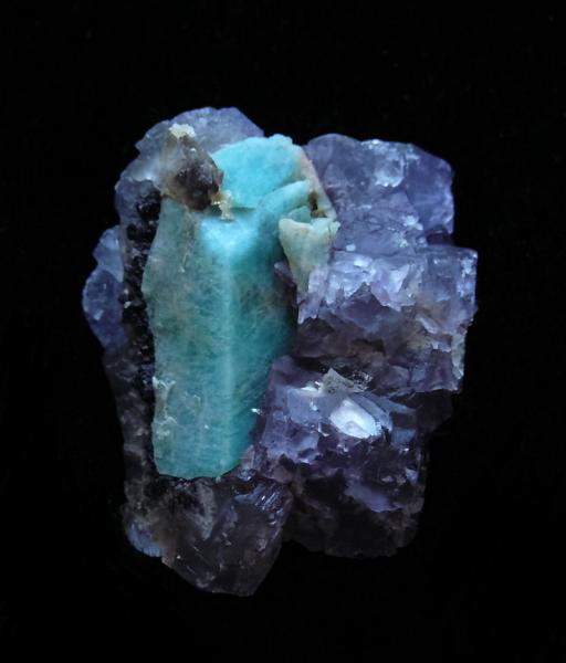 Fluorite sur amazonite colorado.JPG