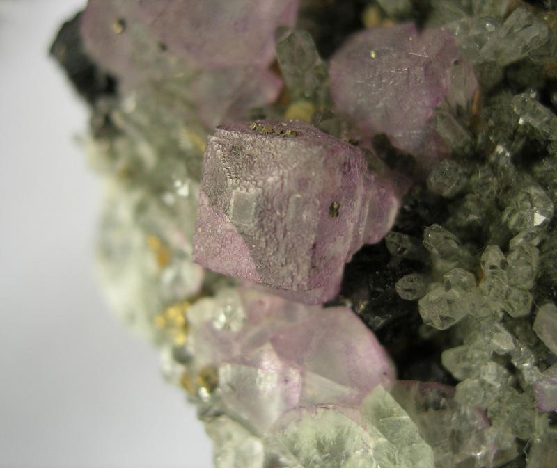 Fluorite Trevaunance 1b.jpg