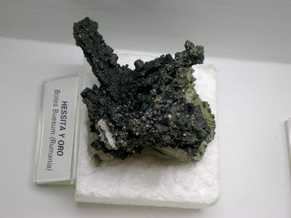 Folch collection Hessite.jpg