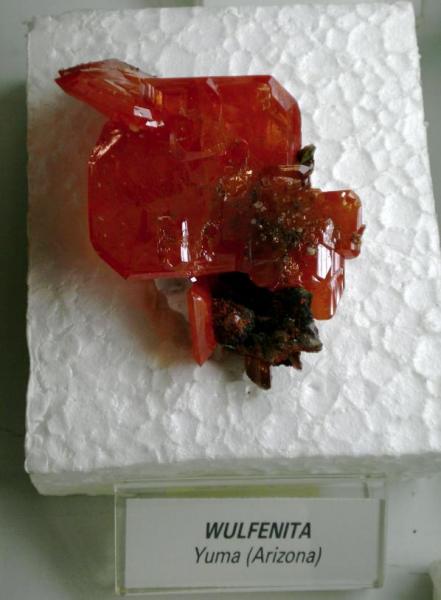 Folch collection  Red Cloud Wulfenite.jpg