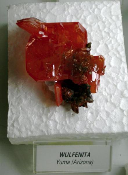 Folch collection Red Cloud Wulfenite.jpg