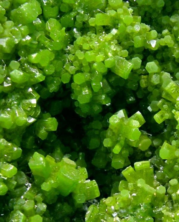 German Pyromorphite.jpg