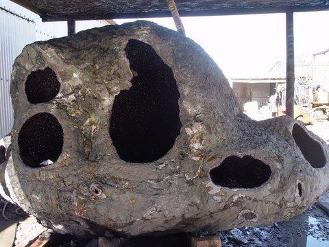 Giant_Geode_from_Artigas_Uruguay_054.jpg