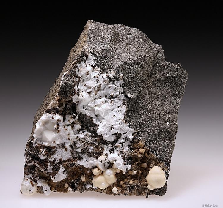 Gonnardite with Phillipsite - Moiliili Quarry_Honolulu_Oahu Island_Honolulu Co._Hawaii_USA.jpg