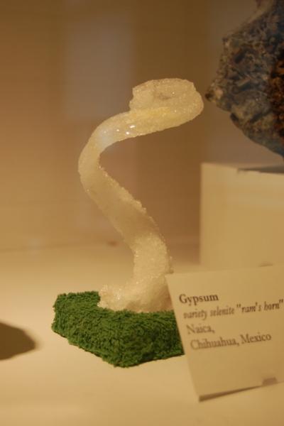 Gypsum, rams horn sm.JPG