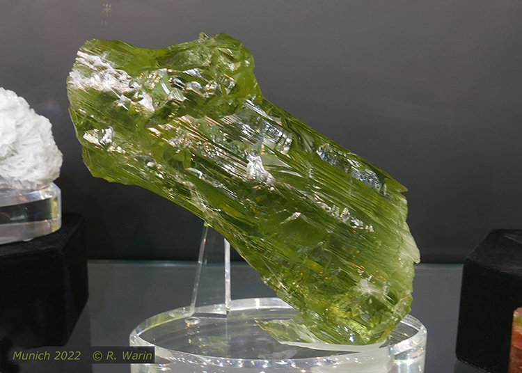 Heliodore_30482_R.jpg
