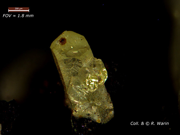 Hopeite_Rhodesie-03.jpg