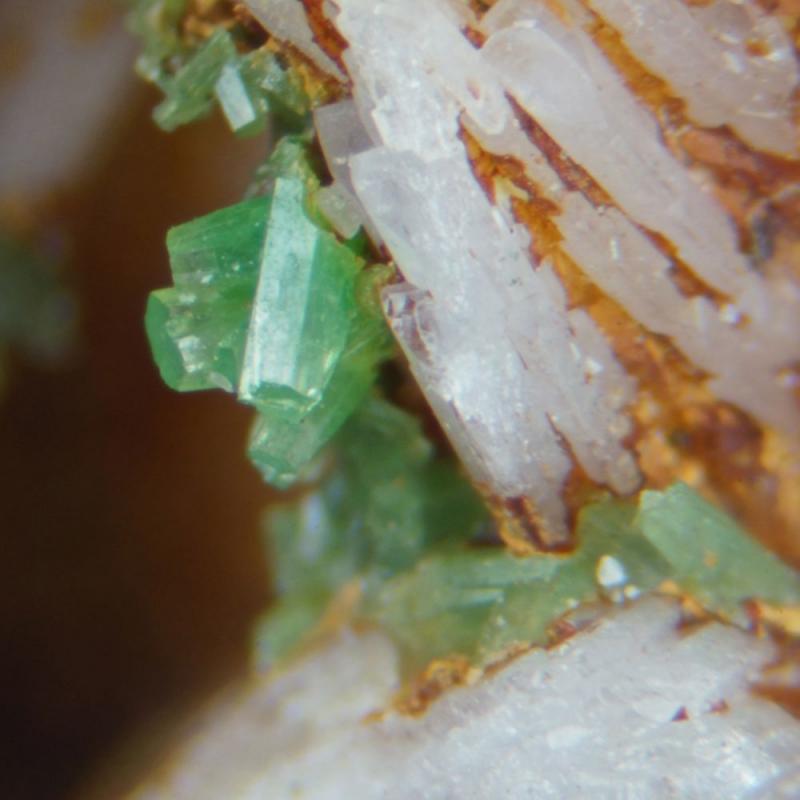 Hungry hushes pyromorphite.jpg