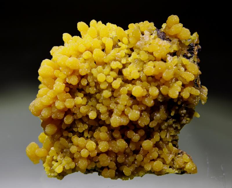 2.3 Yellow-Green Botryoidal Pyromorphite - Ojuela Mine, Mexico (#236823)  For Sale 