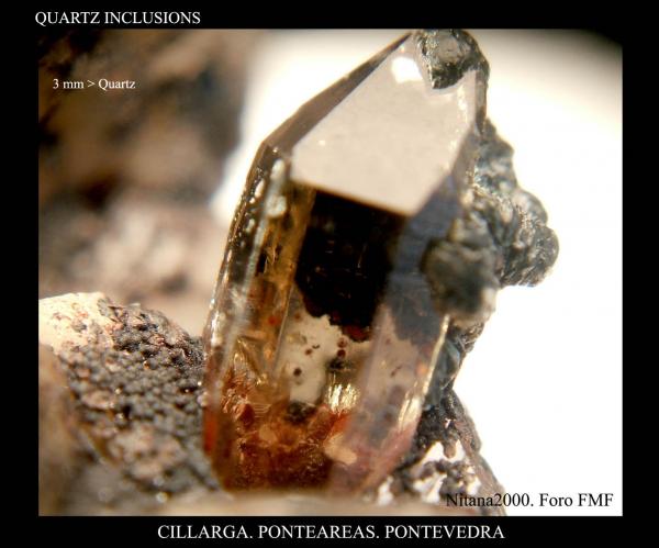 Inclusions smoky quartz.jpg