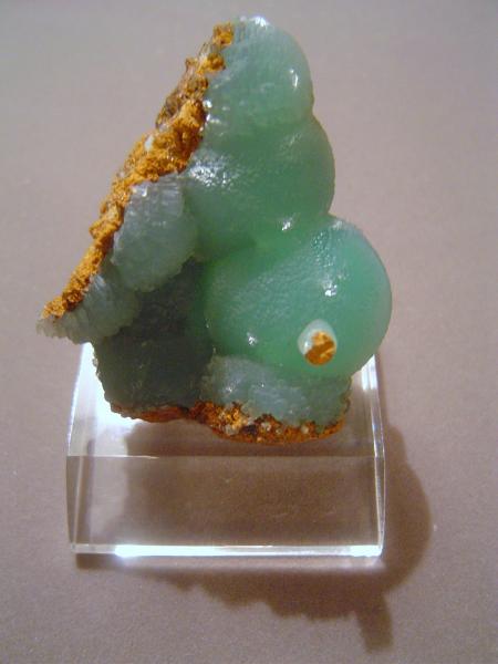 Kelly Smithsonite-1.JPG