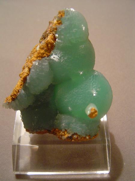 Kelly Smithsonite-2.jpg