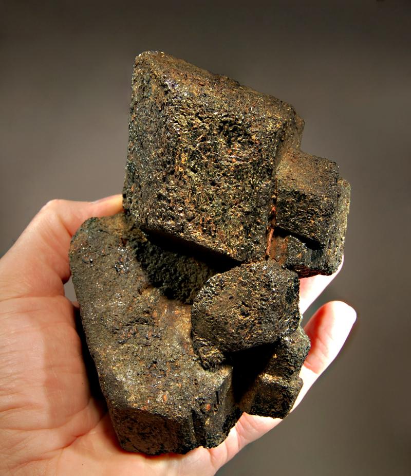 large Hornblende - Bear Lake.jpg