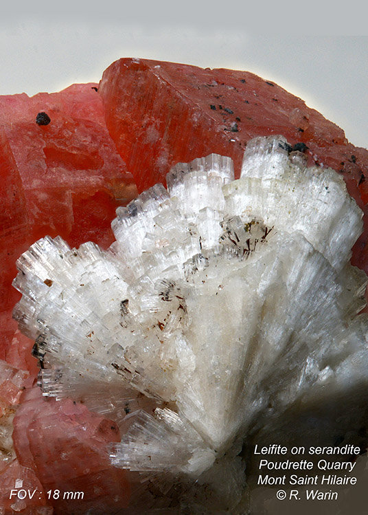 Leifite-on-serandite#8-C_R.jpg