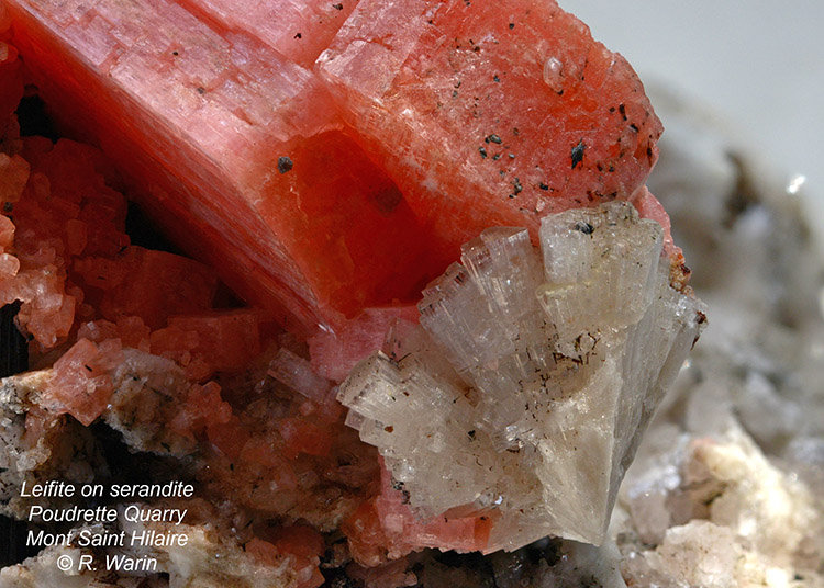 Leifite-on-serandite#9-bd_R.jpg