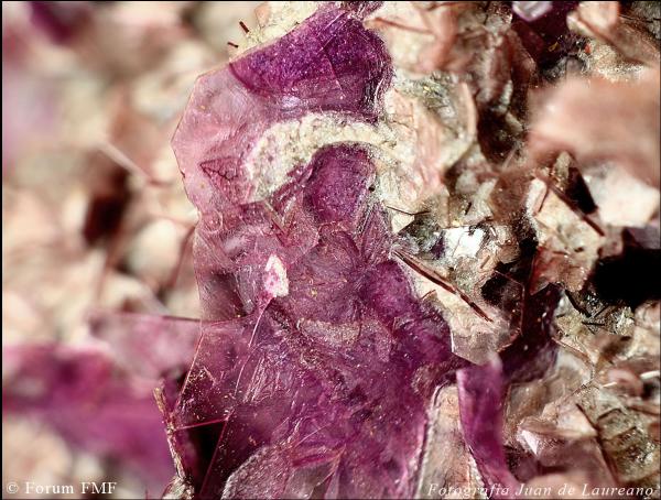 Lepidolite 1.jpg