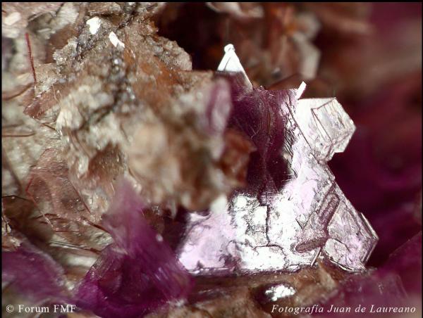 Lepidolite 2.jpg