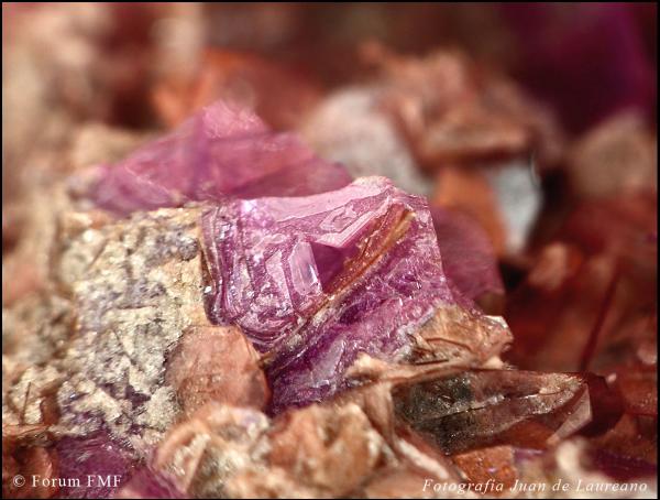 Lepidolite 3.jpg