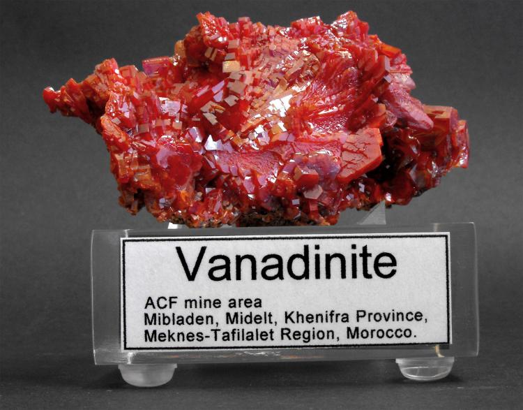 LF_BIG VANADINITE_ACF_MC_STAND_LABEL.jpg