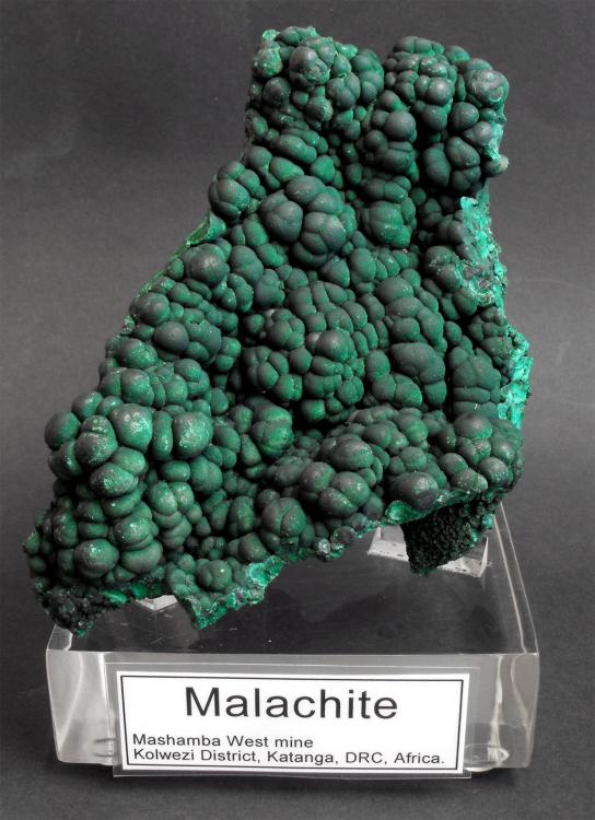 LF_MALACHITE_MWM_CONGO_1.jpg