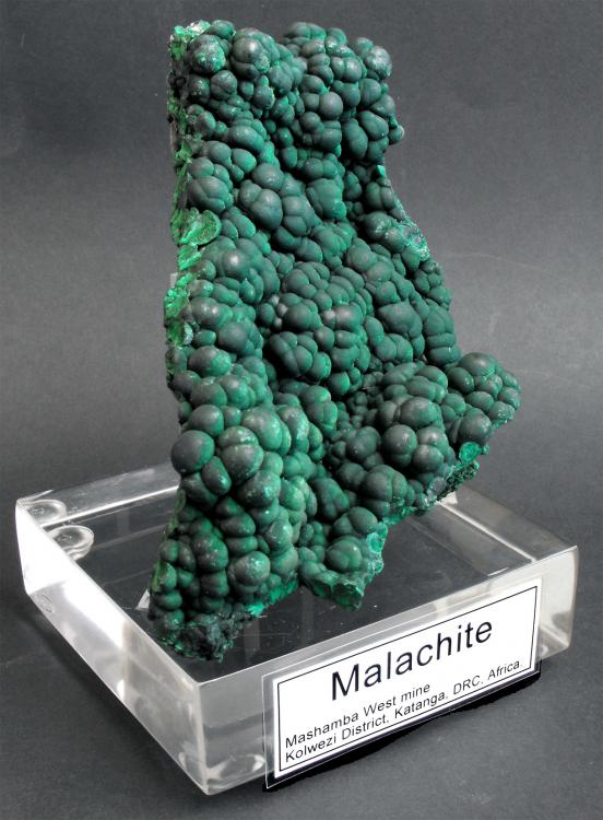 LF_MALACHITE_MWM_CONGO_2.jpg