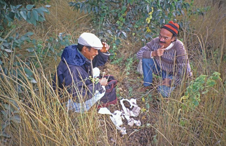 Madagascar - Ibiti market dickering for rocks_1999_147.jpg