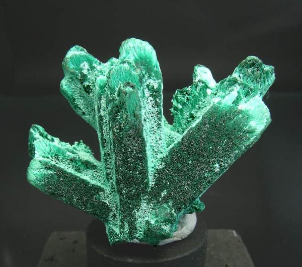 Malachite after Azurite - Bisbee Cochise County Arizona USA.jpg