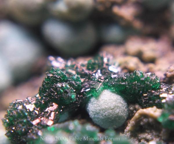 Malachite-Chrysocolla.jpg