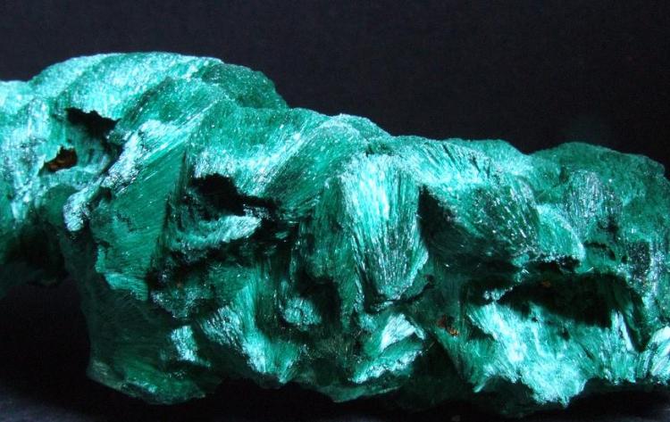 malachite congo (3).JPG