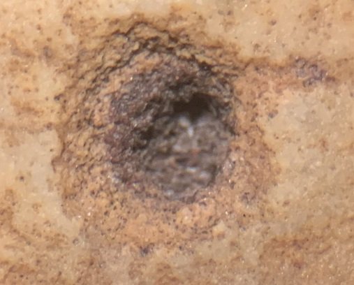 Microcrater1.jpg