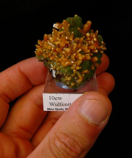 MIMÉTITE & WULFENITE I - Ojuela - Mineralparagon SMAM09.jpg