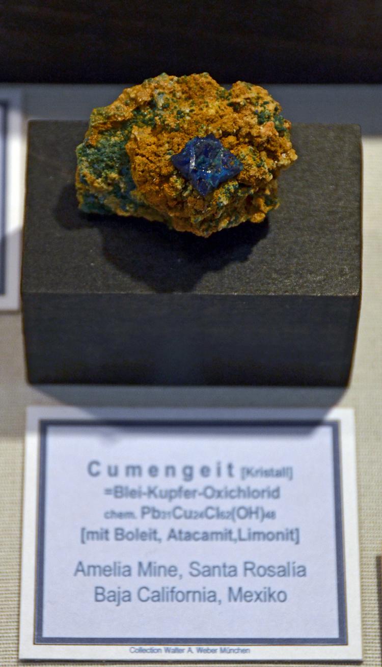 Mineralientage 2011 - Walter Weber Collection - Cumengeite.jpg