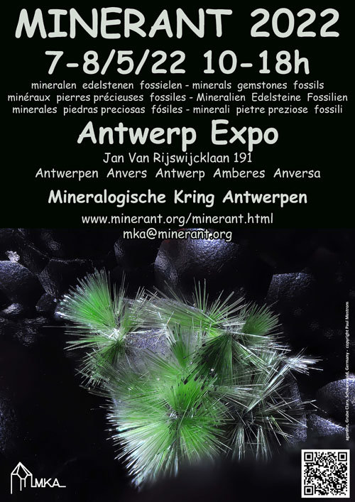 MinerAnt Antwerp 2022.jpg