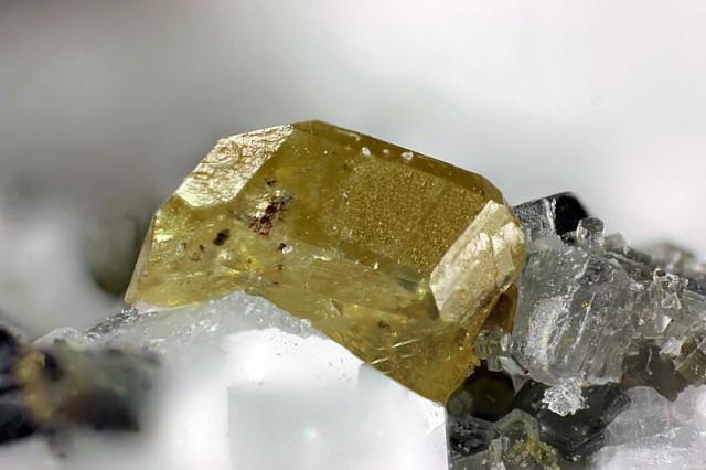 MONAZITE-(Ce) Hopffeldboden,Austria-MC-0.98.jpg