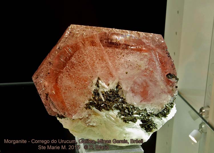 Morganite_00370_R.jpg