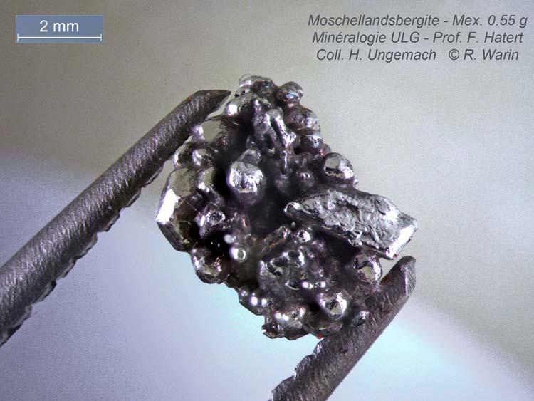 Moschellandsbergite-1_R.jpg