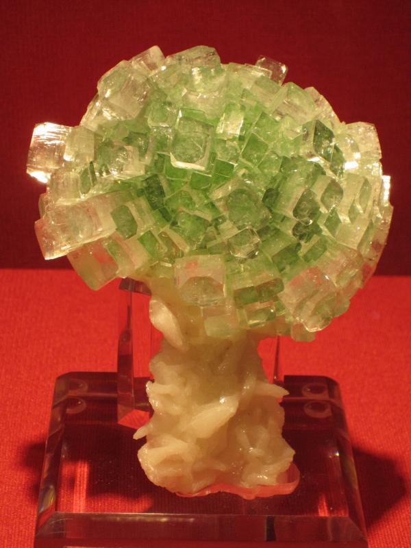 Munich 2009 - Apophyllite-(KF).jpg