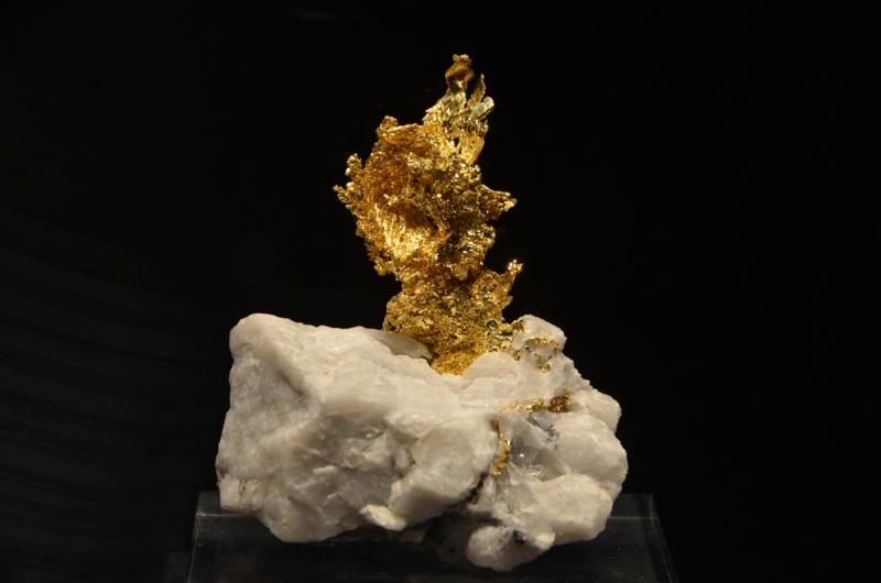 Munich Show 2013 - Gold exhibit - 3.jpg