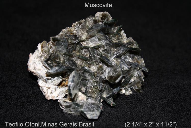 Muscovite #1.jpg