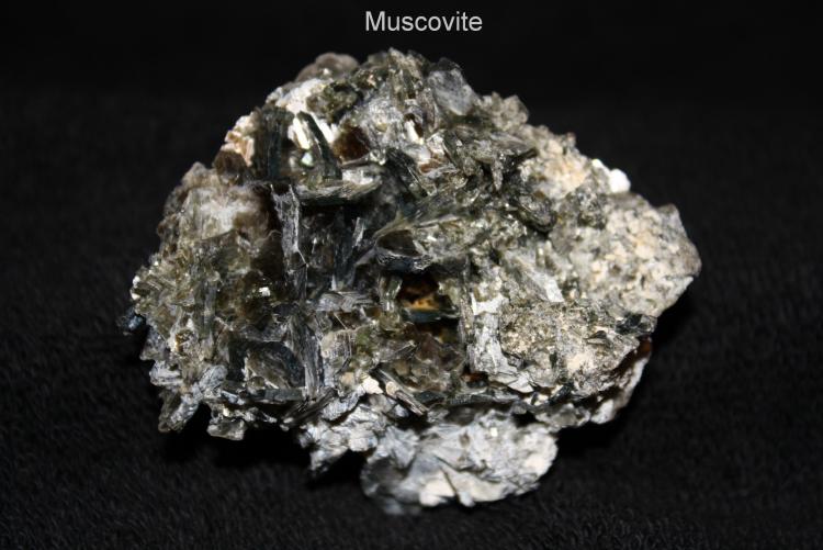 Muscovite #1A.jpg