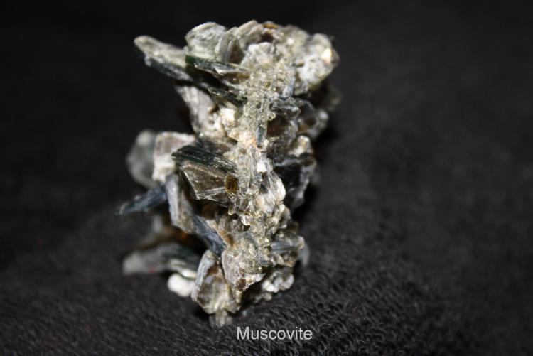 Muscovite #1B.jpg