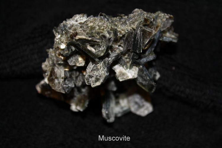 Muscovite #1C.jpg