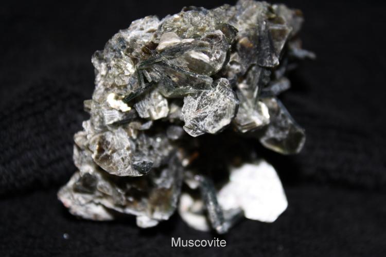 Muscovite #1D.jpg