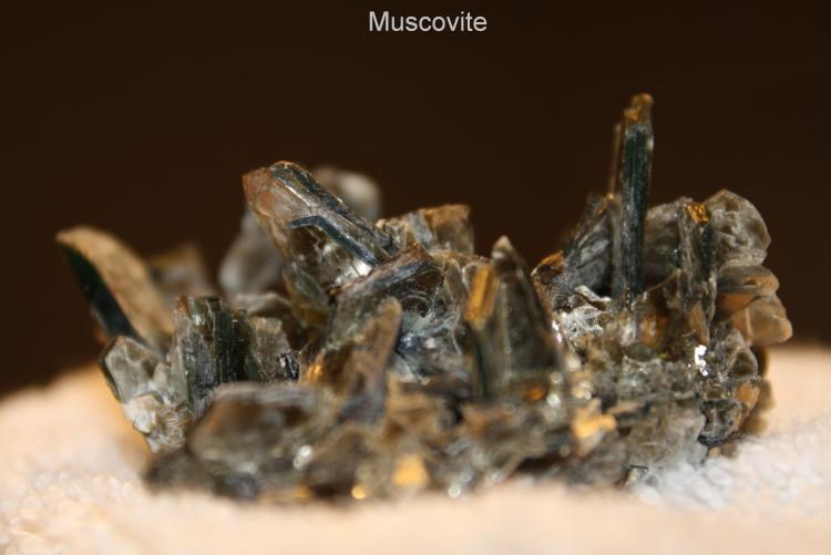 Muscovite #1F.jpg